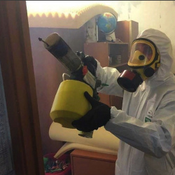 Уничтожение клопов в квартире. Тихорецк